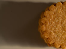 画像をギャラリービューアに読み込む, 【NEW】ヌメロトロンシス